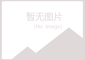 河池梦碎能源有限公司